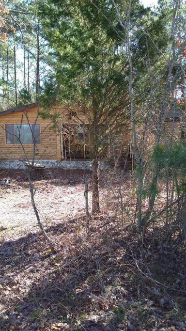 Rustic Quaint Cabin In The Woods--Pets Welcomed Dunnsville Exterior foto